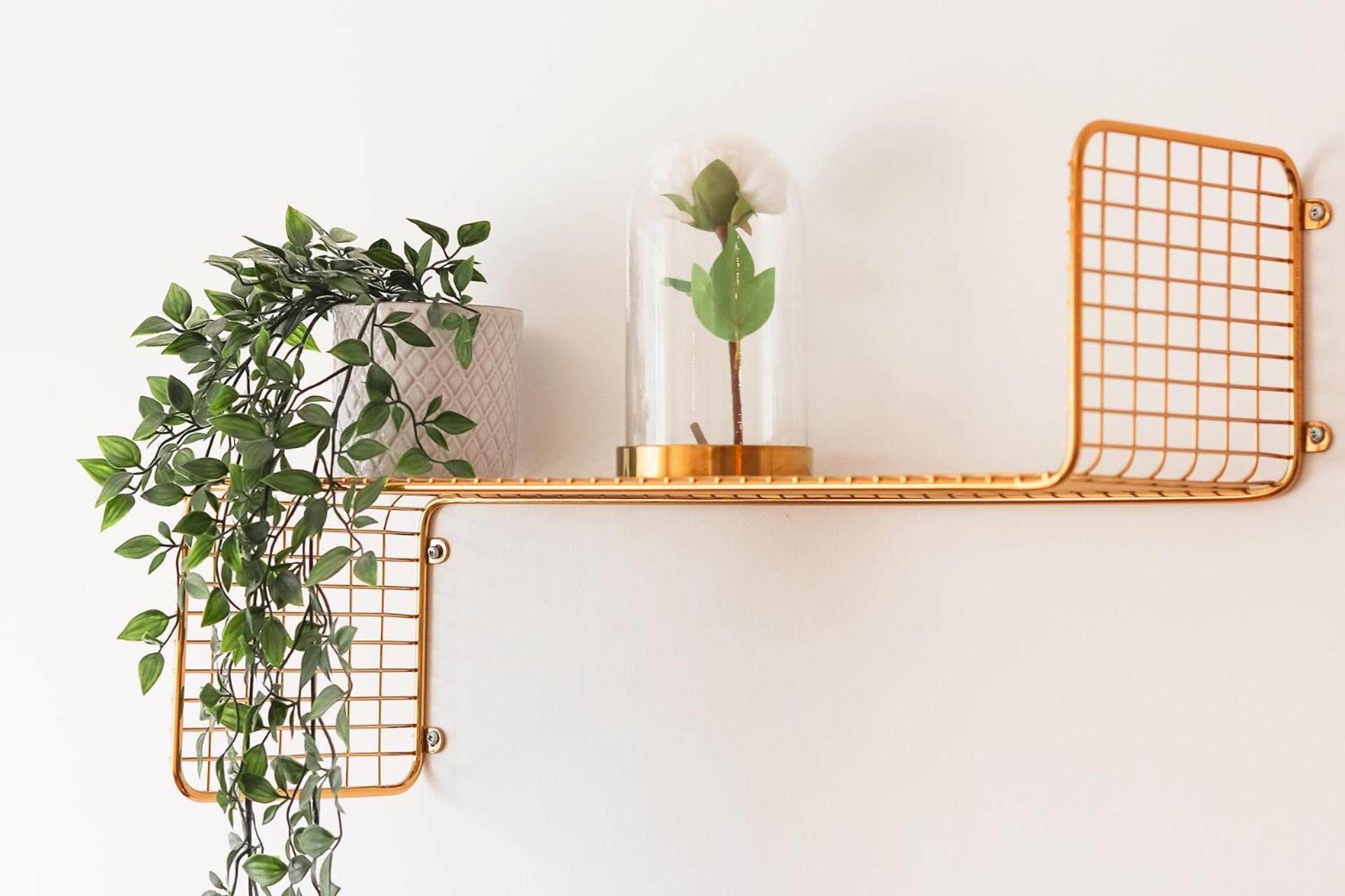Laranjeiras Design By Homing Apartment Lisbon Bagian luar foto
